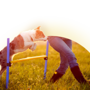 Esthima Pologne dans le Strefa Biznesu magazine