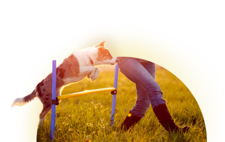 Veternity annonce une croissance de 8% de son chiffre d’affaires en 2020 et un 7ème pays d’implantation : les Etats-Unis