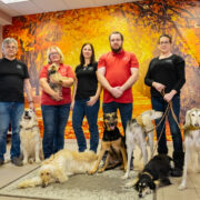 Veternity renforce sa présence en Europe de l’Est