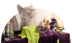 service-personnalise