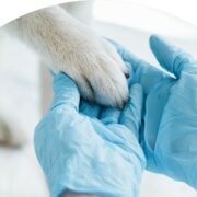 Esthima acquiert un 15ème crématorium en France